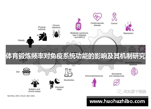 体育锻炼频率对免疫系统功能的影响及其机制研究